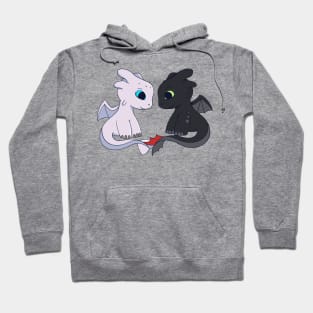 Couple Toothless & Light fury, How to train your dragon fanart, Dragons couple Hoodie